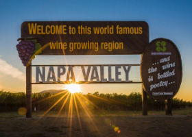 Taste Napa wines
